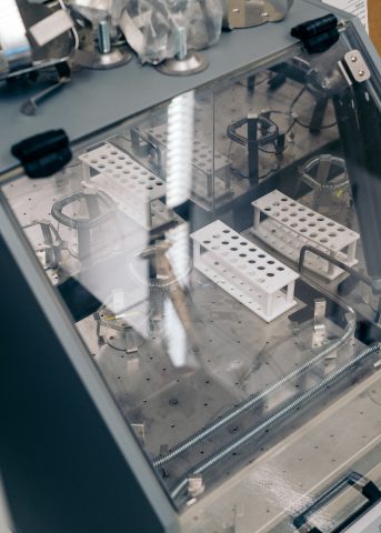 كم نسبة المناعة الطبيعية في جسم الانسان