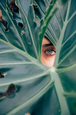 آثار ممتازة من الزعفران لعلاج العيون 