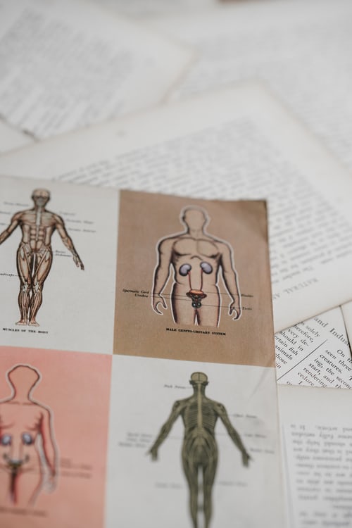 أسباب التهاب البروستاتا ونصائح لعلاجها 2 التهاب البروستاتا